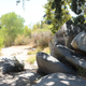 Illustration for article titled Lost Lake Park Photodump.